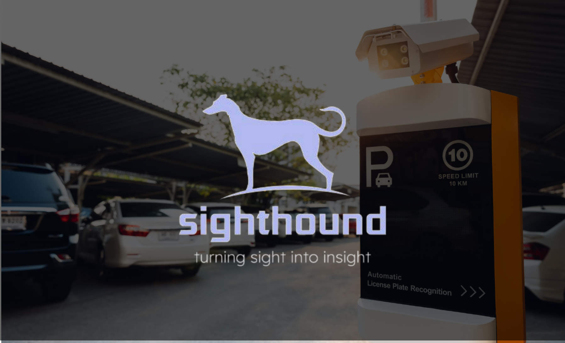 Sighthound